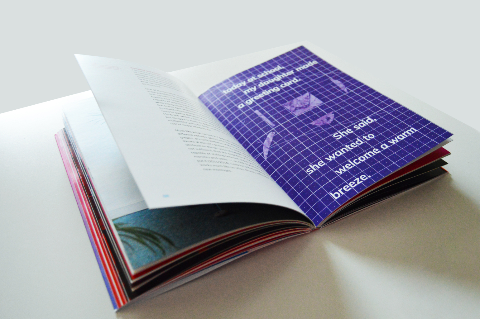 A spread of the book 'Field Theory' showcasing a page from the section on the exhibition HMV_II by Catarina Braga. The page features text and illustrations related to the artwork