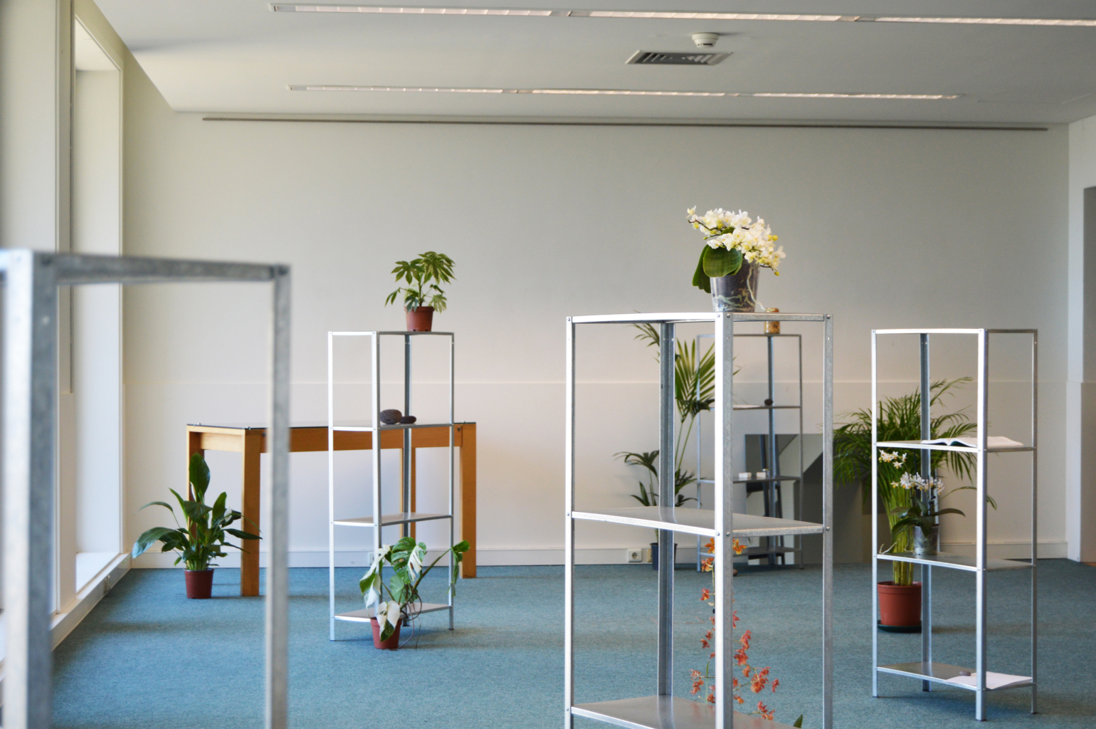 A photograph of the exhibition space for ‘HMV_II,’ showing a minimal installation with metal shelves, potted plants, and a mirrored surface.