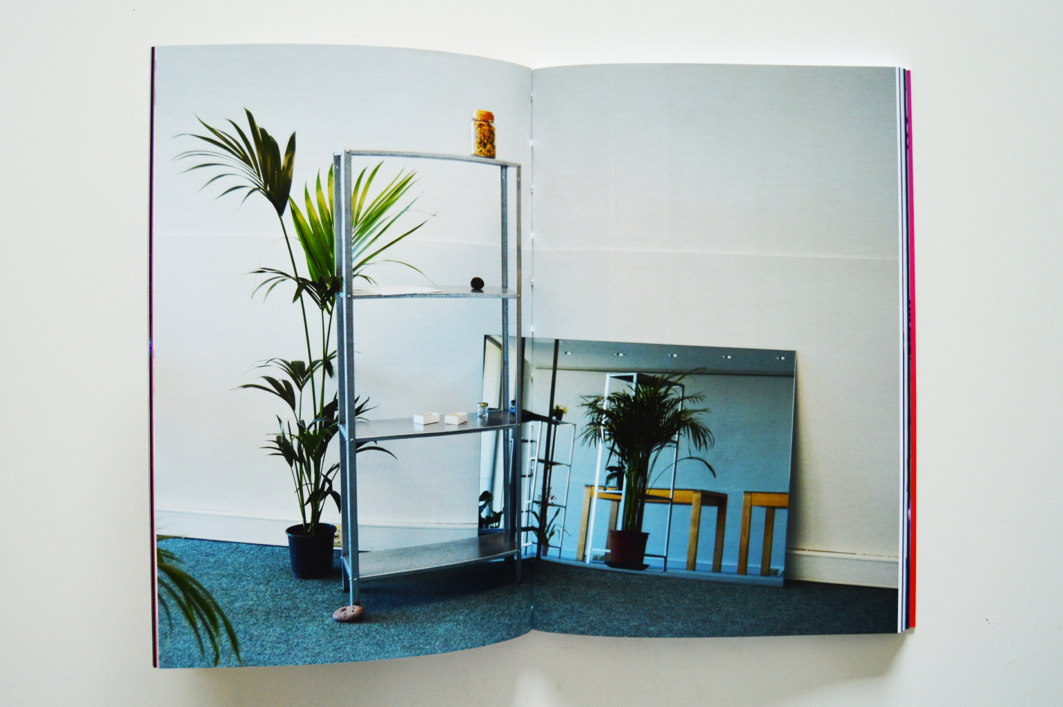 A spread of the book 'Field Theory' showcasing a photograph from the exhibition HMV_II by Catarina Braga. The image depicts a room with a metal shelf, a potted plant, and a mirror reflecting the scene.