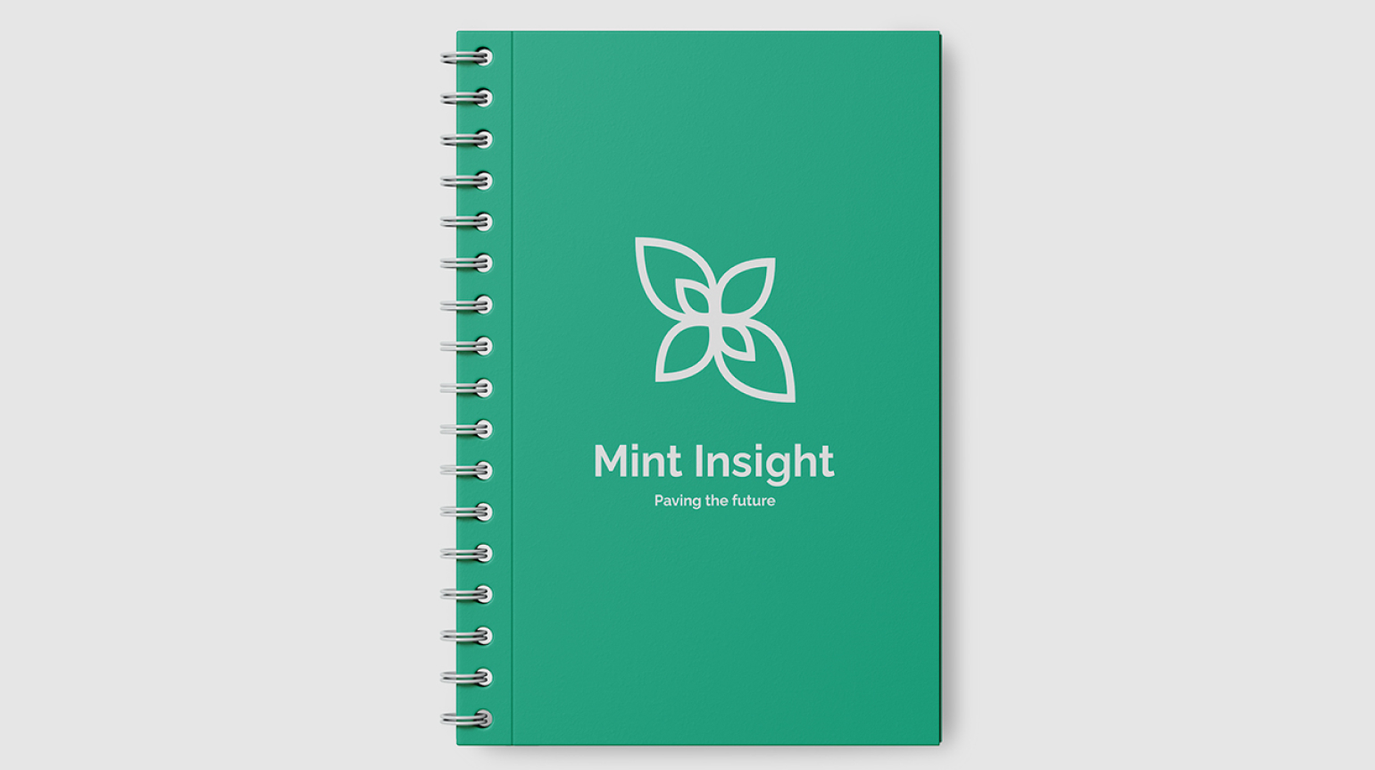 A mint green and white USB drive with the Mint Insight logo on the side. The drive is resting on a green background.