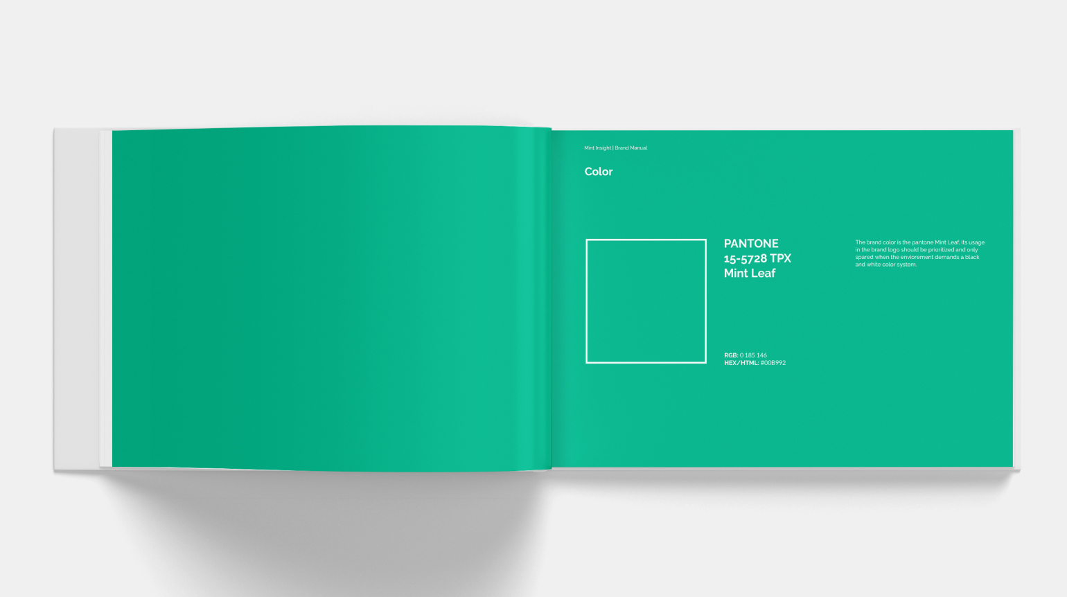 A spread from the Mint Insight brand manual, featuring a large color swatch of the primary brand color, Pantone 18-5728 TPX Mint Leaf, along with its Pantone and CMYK color codes.